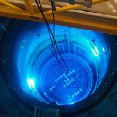Open reactor pressure vessel NPP Mühleberg (Switzerland)  (©Ensi.ch)