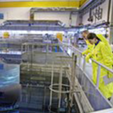 Reactor Hall 05 (©Vattenfall - Forsmark 3)